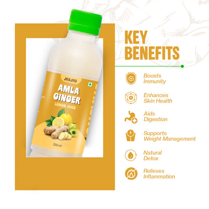 Ginger Amla Lemon Juice (Pack of 20)