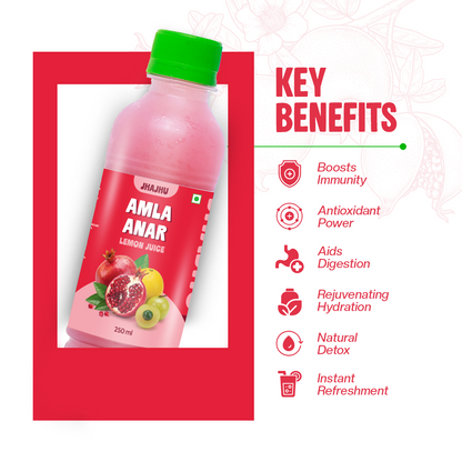 Anar Amla Lemon Juice (Pack of 20)