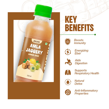 Jaggery Ginger Amla Juice (Pack of 20)