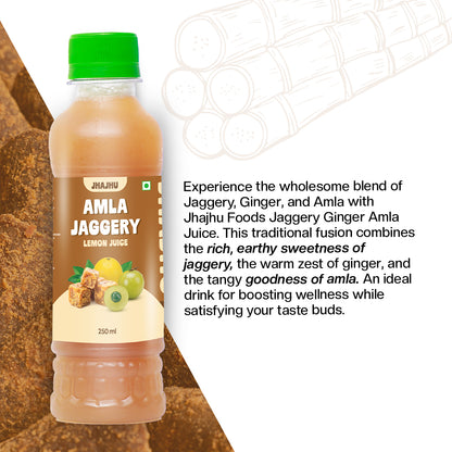 Jaggery Ginger Amla Juice (Pack of 20)