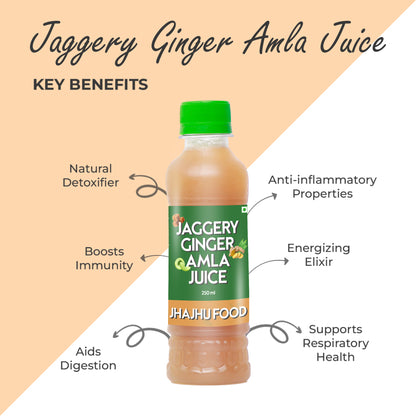 Jaggery Ginger Amla Juice (Pack of 20)
